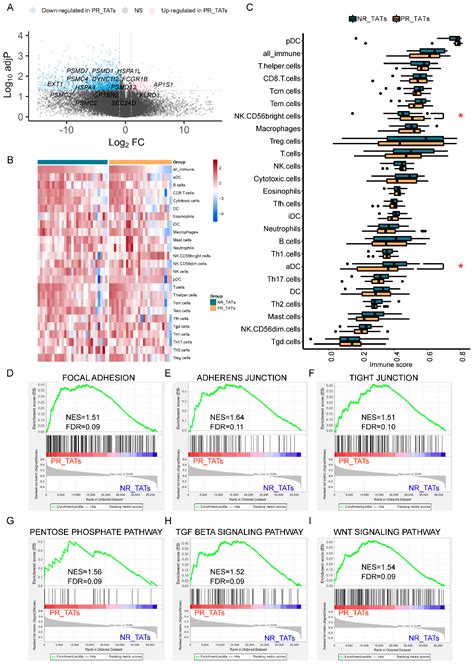 Cancers Free Full Text Dysregulated Immune And Metabolic