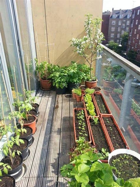 Balcony Garden Pot Ideas At Mary Boivin Blog