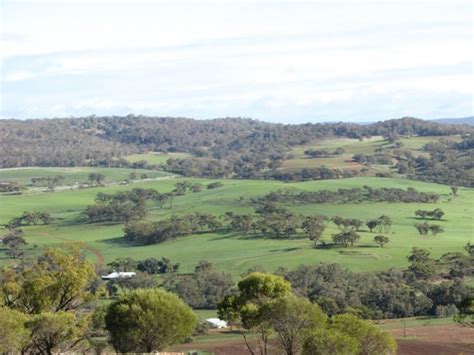 Lot 302 Toodyay Road Toodyay Wa 6566 Property Details