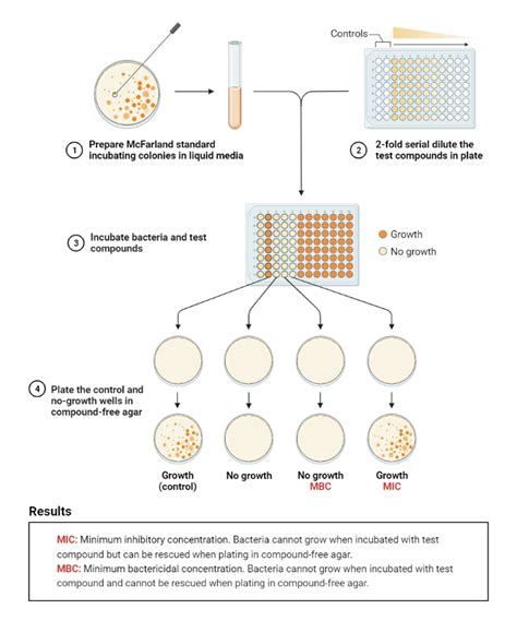 Mic And Mbc Test Biorender Science Templates