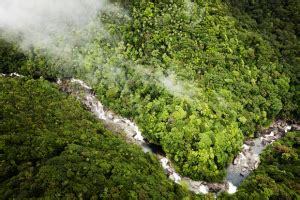 Daintree Rainforest Climate Change - Edgar-has-Huerta