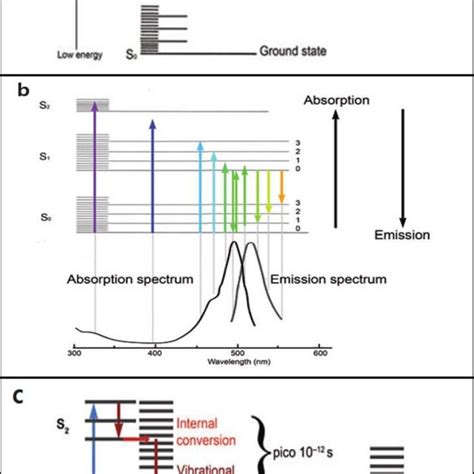 1): Jablonski diagram of fluorescence fundamentals [48] . | Download ...