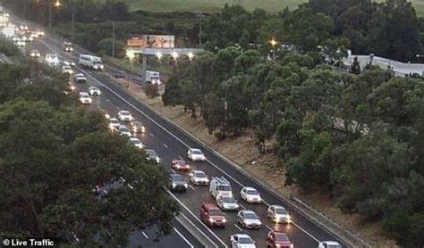 M5 M4 Delays In Sydney Major Crash Sparks Traffic Chaos Ny Breaking