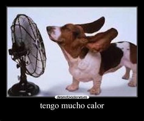 Im Genes Graciosas De Tengo Calor Im Genes Graciosas