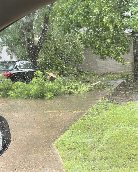 KALB - Storm damage: Village Green area | Facebook
