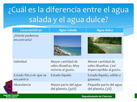 Potencial Viajero Patentar qué es el agua dulce y el agua salada ira Lo