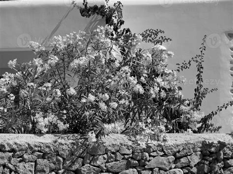ibiza island in spain 10925161 Stock Photo at Vecteezy