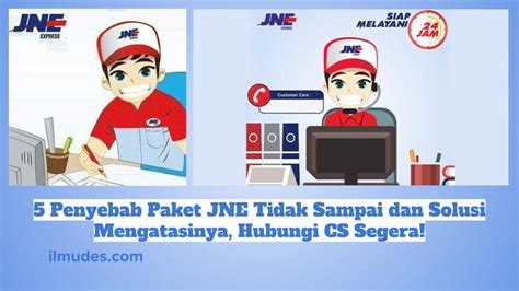 5 Penyebab Paket JNE Tidak Sampai Dan Solusi Mengatasinya