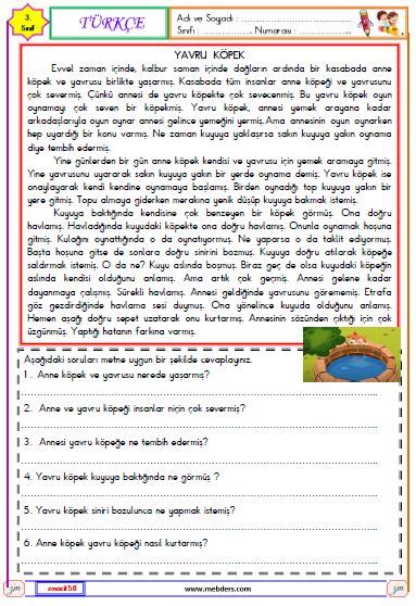 3 Sınıf Türkçe Okuma ve Anlama Metni Etkinliği Yavru Köpek Meb Ders