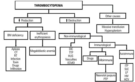 Causes Of Thrombocytopenia Bm Bone Marrow Ct Chemotherapy Rt