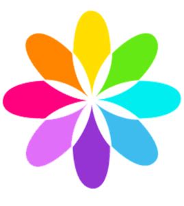 flower logo transparent png colorful | Dr. Phoenyx