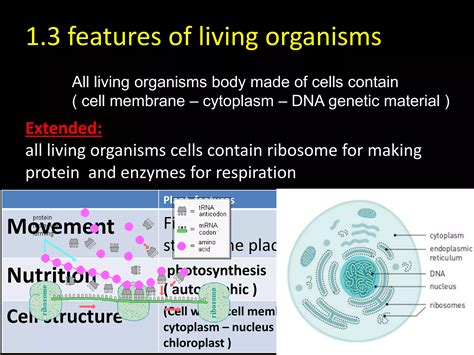 cambridge igcse biology   classification  living organisms