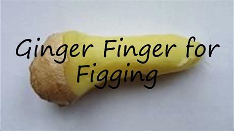 How To Pronounce Ginger Finger For Figging In English Youtube