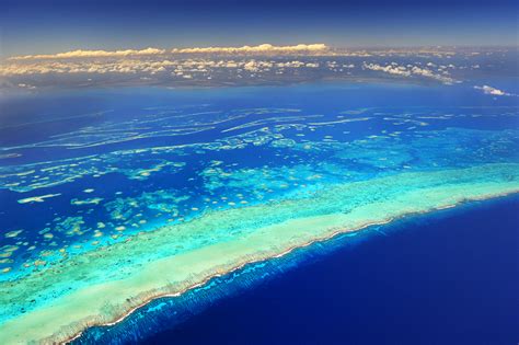 Mesoamerican Reef - Brian Skerry