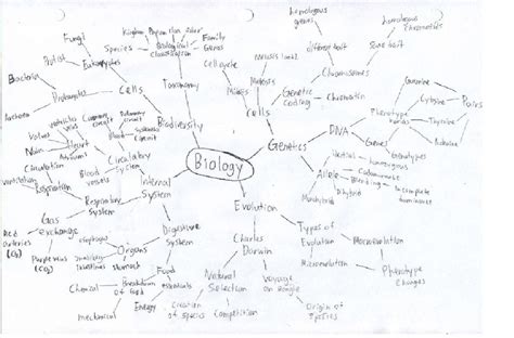 Biology Concept Map - Vinay's E-portfolio