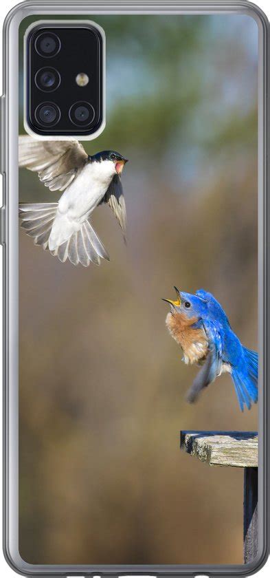 Samsung Galaxy A G Hoesje Close Up Van Twee Vechtende Vogels Bij