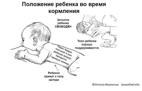 Как правильно кормить грудью: как правильно прикладывать новорожденного ...