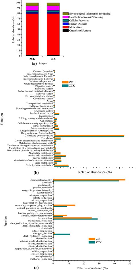 A Functional Notes Of Bacteria Kegg At Level 1 B Functional Notes Download Scientific