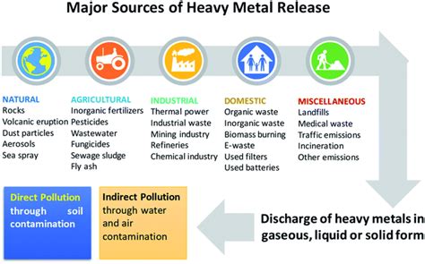 heavy metal induced stress  wheat phytotoxicity  microbiological