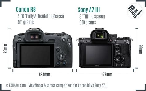 Canon R8 Vs Sony A7 Iii In Depth Comparison