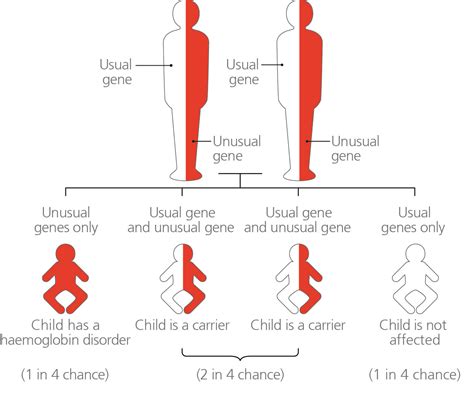 Sickle Cell Thalassemia