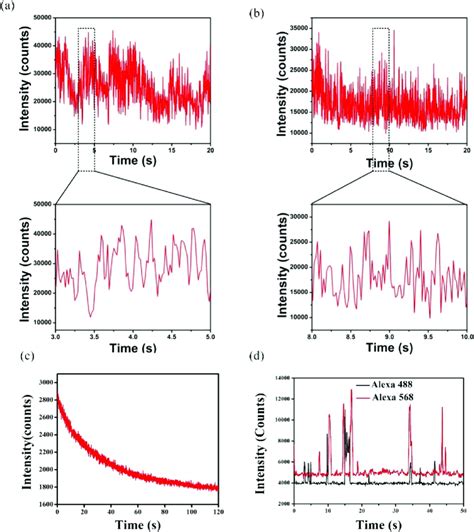 Single Particle Analysis Of The A Fret Nanoprobe Labeled With Only