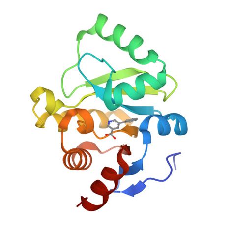 RCSB PDB 5RTS PanDDA Analysis Group Deposition Crystal Structure