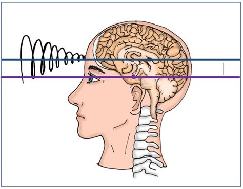 Which Chakra Is Associated with the Pituitary Gland? - Gemstone Therapy Institute