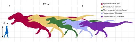 Dinosaur Classification Historical Geology