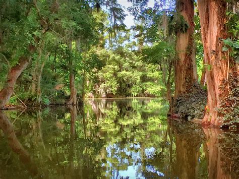 Local historians explain why the and eustis florida area is so unique 6