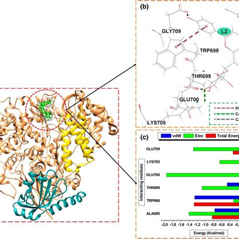 Color Online Structure Of L3RdRp At 40 Ns A Visual Illustration