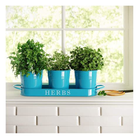 Set Of Herb Pot Planter Set With Tray Indoor Garden Outdoor Etsy