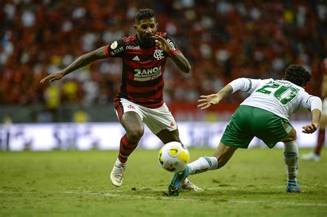 Flamengo X Juventude Campeonato Brasileiro Estadio Man Flickr