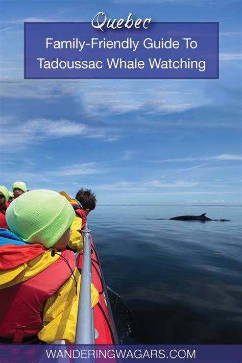 Experience Tadoussac Whale Watching With A First Nations Twist ...