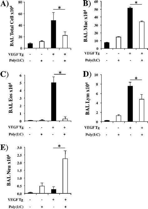 Effect Of Polyinosinic Polycytidylic Acid Poly I C On Vascular