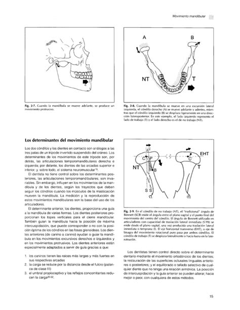 Fundamentos Esenciales En Protesis Fija Shillingburg PDF