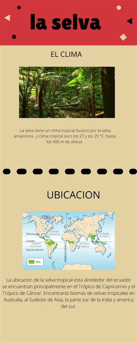 Infografia DE LA Selva Seleccion De Personal UPN Studocu