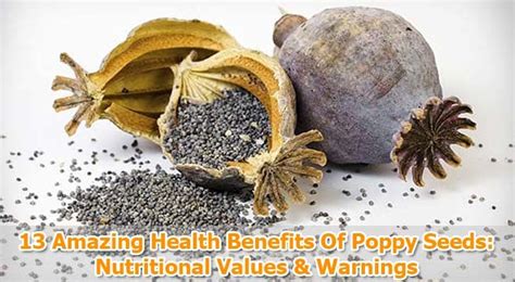 13 Amazing Health Benefits Of Poppy Seeds Uses Nutrition And Warnings