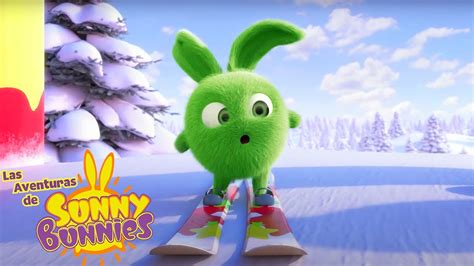 Las Aventuras de Sunny Bunnies ESQUIAR Dibujos para niños YouTube