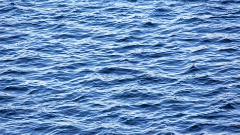 Premium Photo Background Texture Of Water In The River