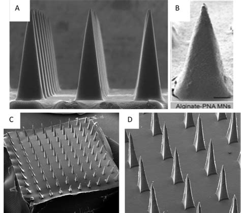 HydrogelForming Microneedles Current Advancements And Future Trends