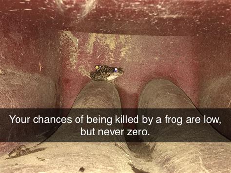 Oh God Oh Fuck R Dankmemes