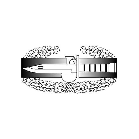 Army Set to Debut Master Combat Badges in Spring, Memo Says - Combat