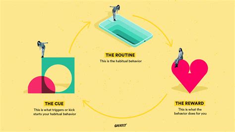 Habit Loop: Theory, Examples, and Applications