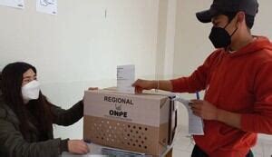 Noticias Sobre Cu Ndo Ser La Segunda Vuelta De Las Elecciones