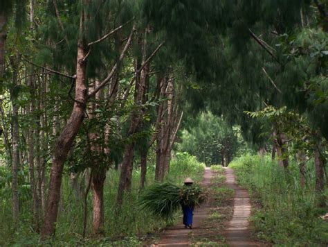 Mldspot 4 Tempat Camping Keren Di Indonesia