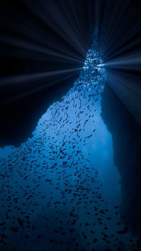 Rays Of Light In Ocean Underwater Stock Photo Image Of Aquarium Dark