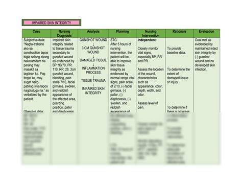 SOLUTION Nursing Care Plan Impaired Skin Integrity Studypool