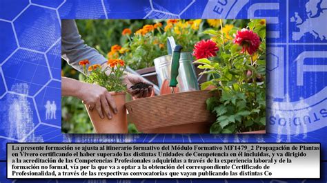 Mf Propagaci N De Plantas En Vivero Cursos Online Youtube