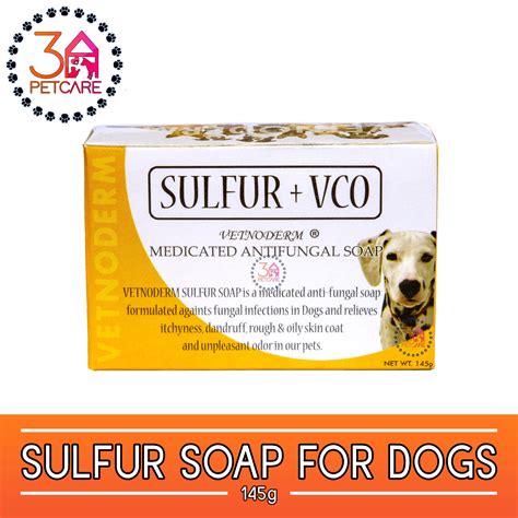 What Soap Is Safe For Dogs
